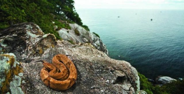 Këto janë 5 vendet në botë ku asnjë turist nuk mund të shkelë