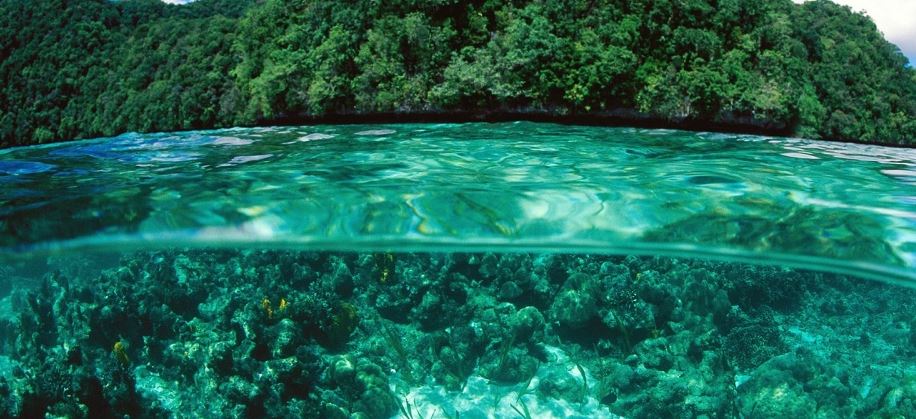 Këtu nuk ka shkelur kurrë njeriu