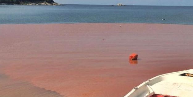 Situatë alarmante në Ksamil, shikoni se ç’i kanë bërë ujërave ditën e sotme