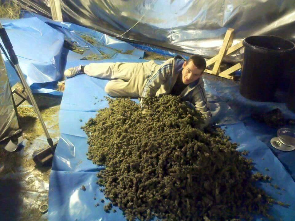 10 këshilla se si të bëhesh i pasur pa u marrë me kanabis