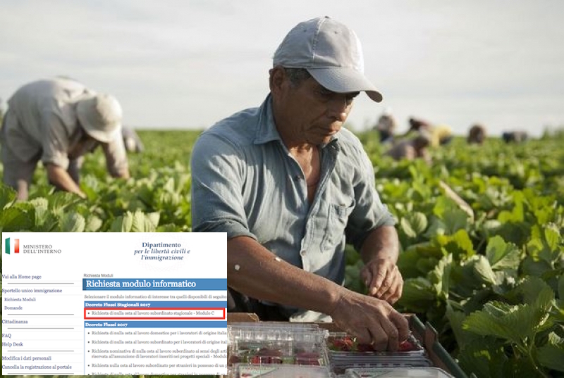 Italia kërkon 17 mijë punëtorë, si të aplikoni hap pas hapi për të fituar