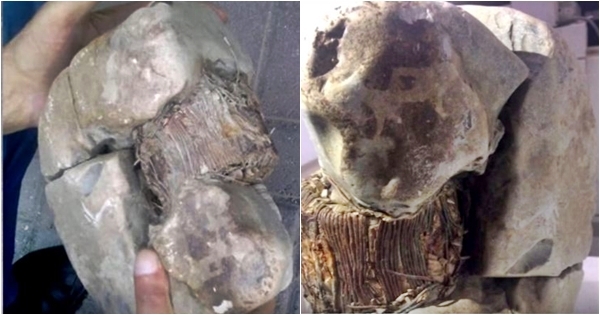 Fotografi shqiptar zbulon në malet e Kosovës një objekt arkeologjik që mund të ndryshojë historinë e njerëzimit