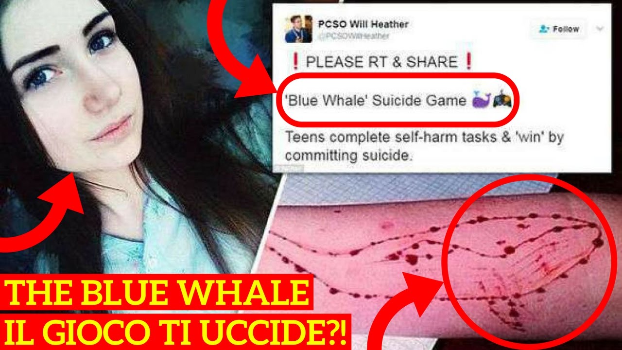 Ekspertët japin alarmin: Loja e rrezikshme “Balena Blu”  po luhet edhe në Shqipëri