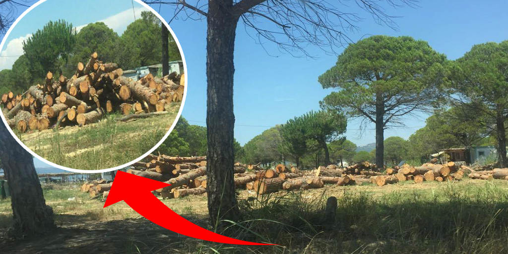 “Priten pishat në Gjirin e Lalzit, oligarkët pushtetarë po ndërtojnë vilat luksoze”