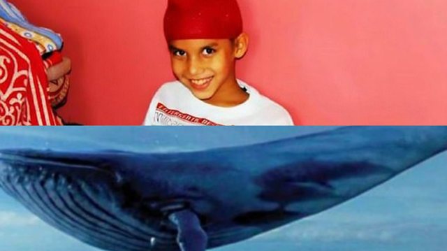 Rikthehet “Balena Blu”, 14 -vjeçari mbyt veten me qese plastike