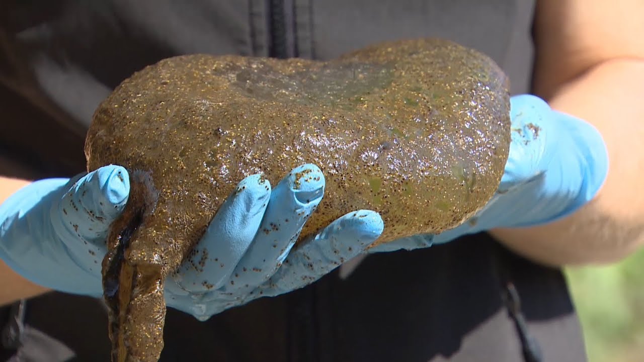 Krijesa e çuditshme që po i “çmend” të gjithë, e habitshme si është formuar