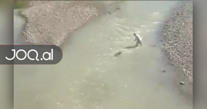 “Ia vuri gurin në qafë dhe e hodhi në lumë”, burri nga Berati hedh qenin në Osum