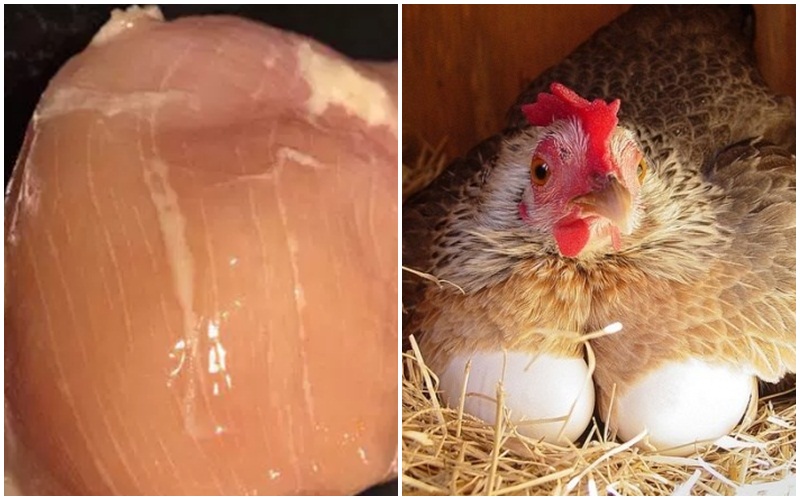 Çfarë janë vizat e bardha tek mishi i pulës? Detaji që do t’ju trondisë