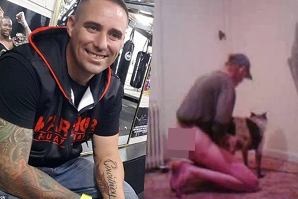 I pastronte organin gjenital pas masturbimit, djali që kryente seks me qenin e pëson keq