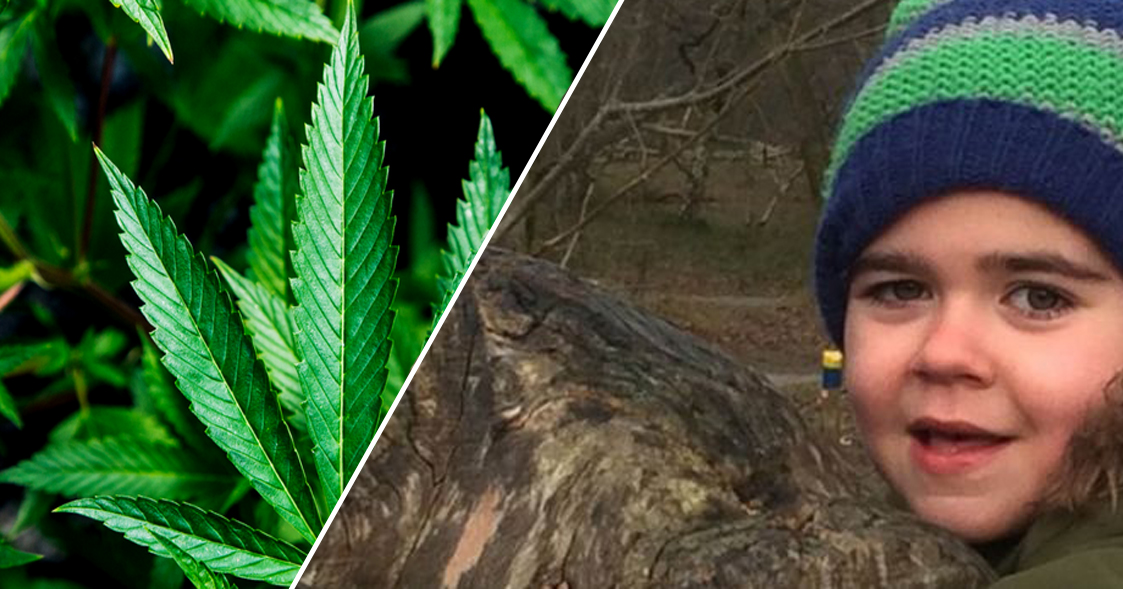 Fëmija 6 vjeçar që pëson 30 kriza epilepsie në ditë, gjen kurën te cannabis