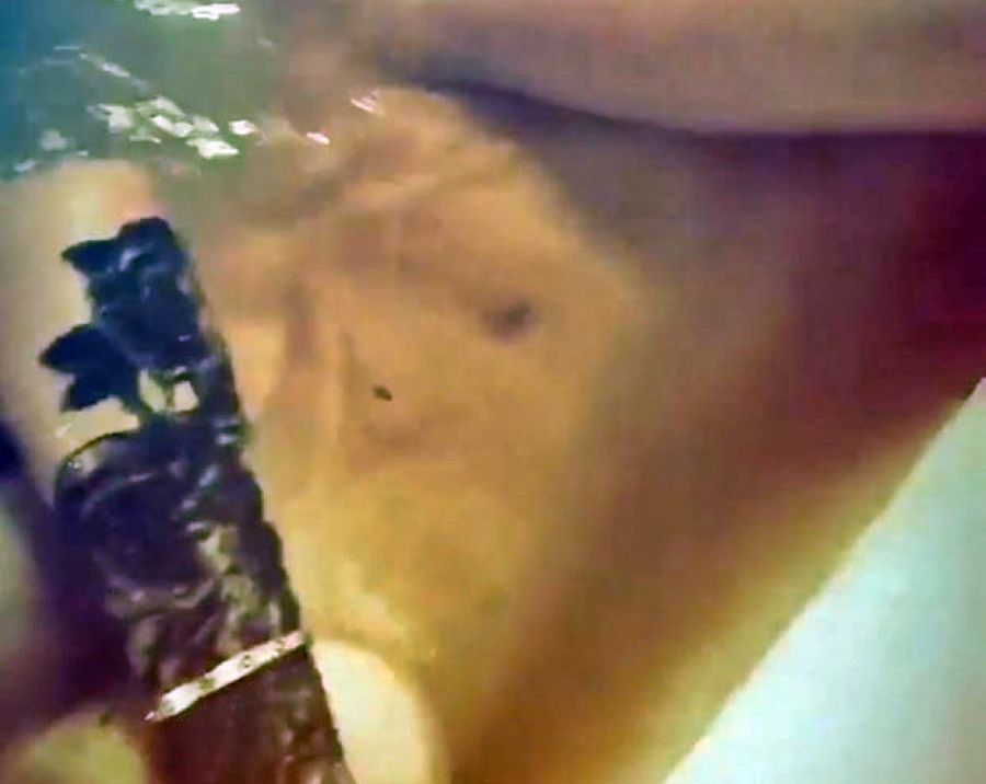 Del videoja e këngëtares lakuriq në vaskë