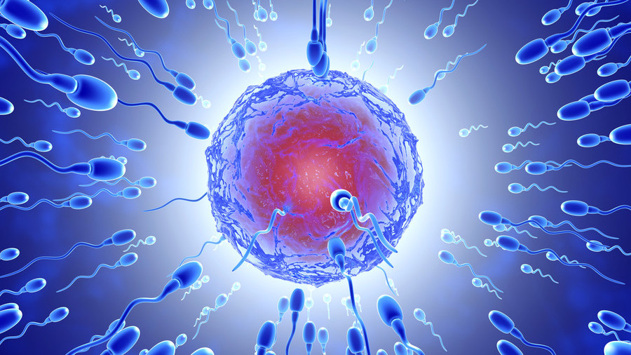 NASA dërgon në hapësirë shishen me spermë