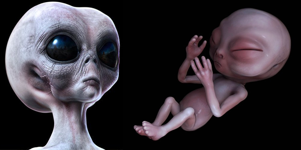 13 fakte drithëruese rreth ekzistencës së alienëve