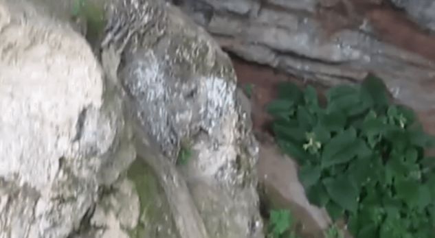 Shpella plot mister që gjendet në Shqipëri, legjenda urbane që i tmerroi të gjithë