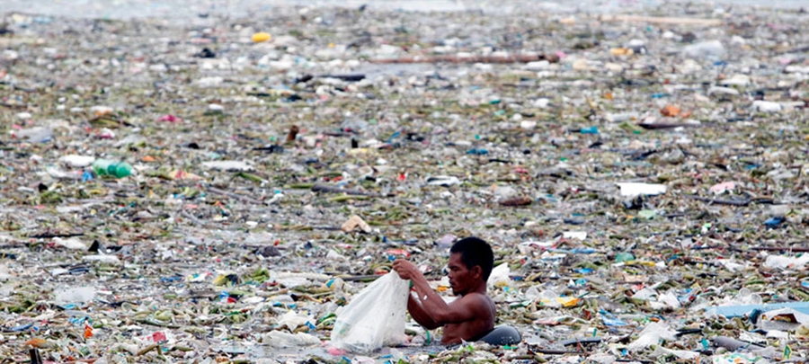 Ndotja masive jo vetëm te kafshët, konfirmojnë ekspertët: Njerëzit po hanë plastikë!