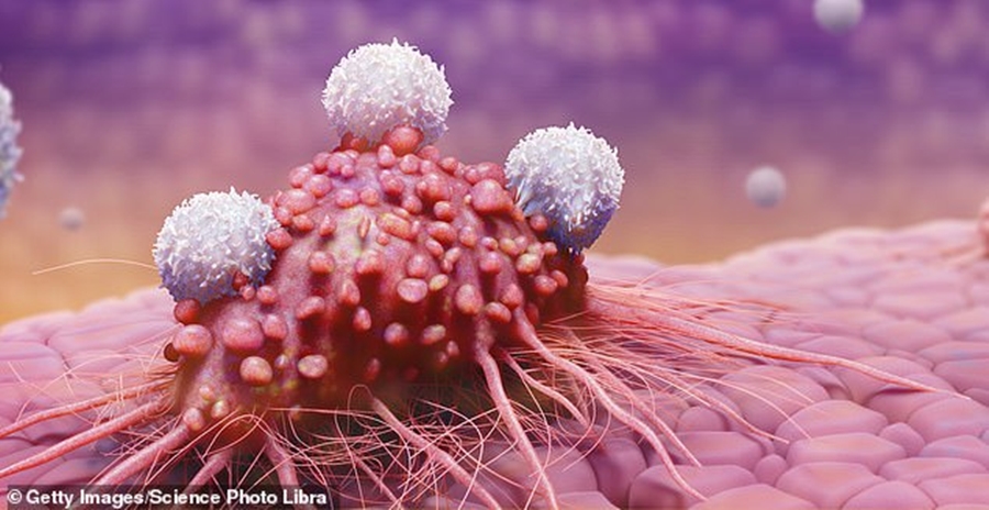 Zbulim historik, krijohet trajtimi që pritet të shpëtojë miliona jetë nga kanceri
