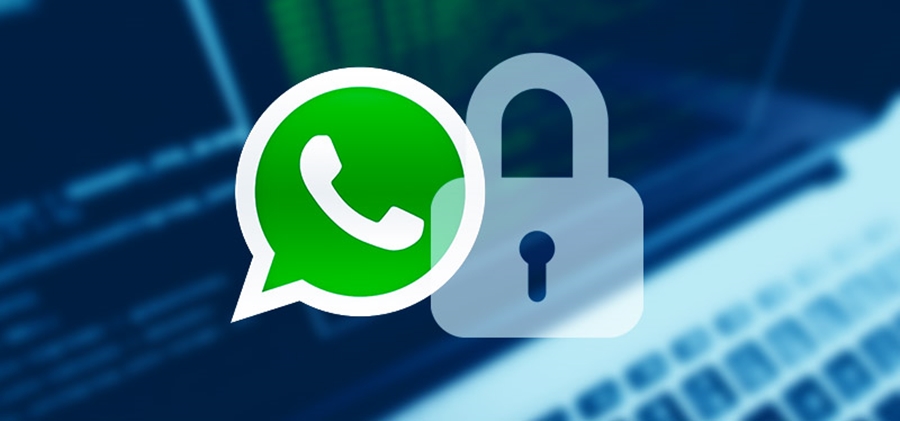 “Lajthit” WhatsApp, po u mundëson njerëzve të panjohur të lexojnë mesazhet e të tjerëve
