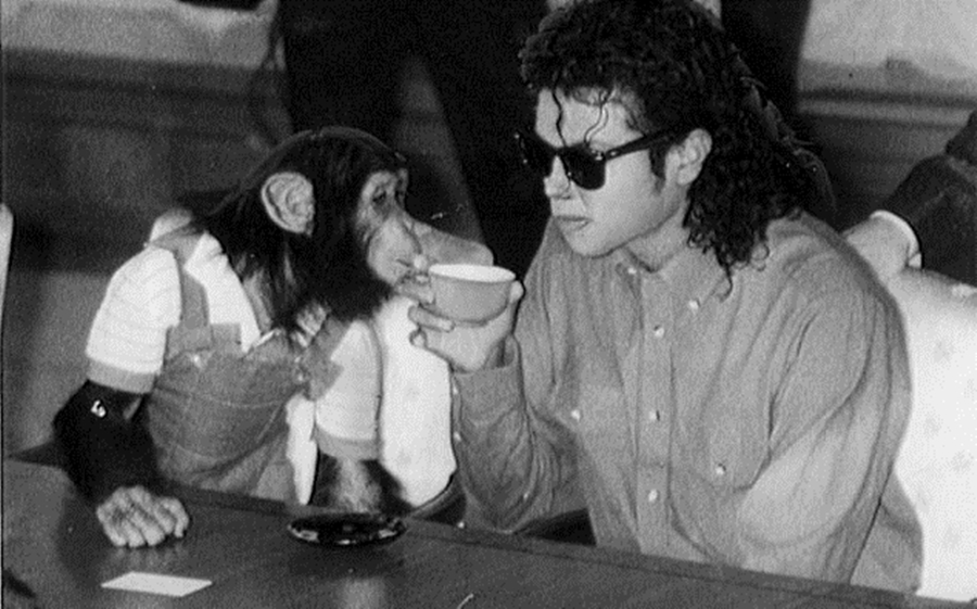 “Michael Jackson nuk ka abuzuar vetëm me fëmijët, e tmerrshme ajo që i ka bërë shimpanzesë së tij”