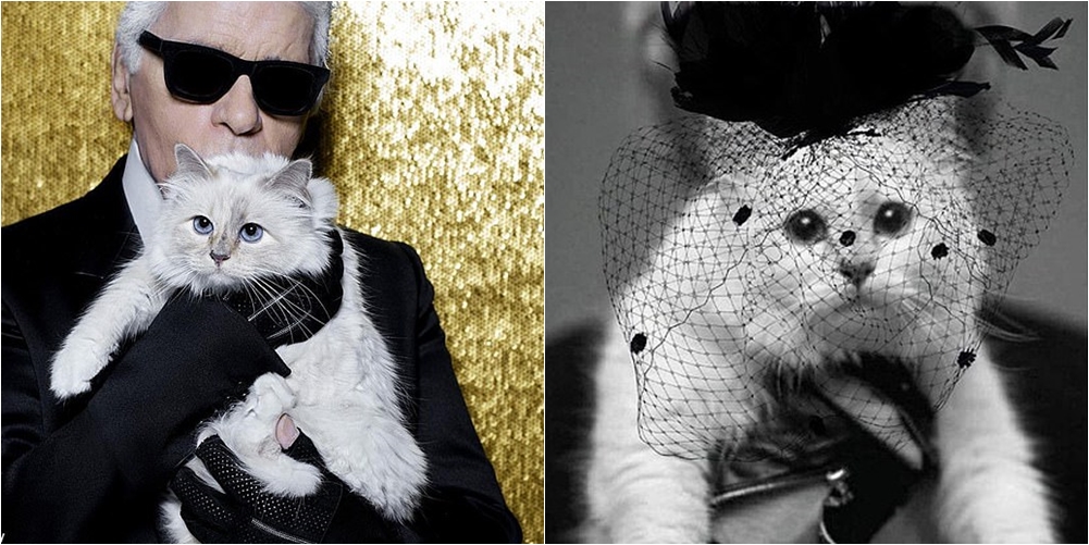 Trashëgoi të gjithë pasurinë e tij, macja e legjendës së modës “bën”deklaratën prekëse