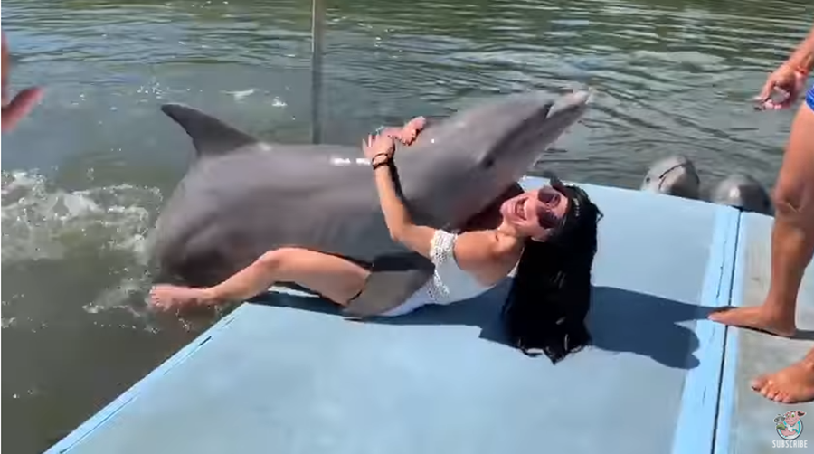Ajo hapi krahët për ta përqafuar, delfini i bën brunes atë që s’ia priste mendja