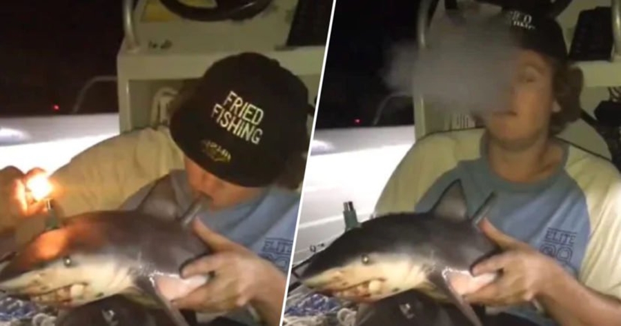 Peshkatari përdor një peshkaqen të ngordhur për të tymosur marijuanë