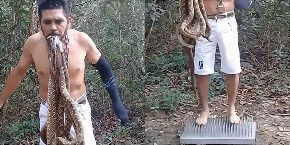 Një kafshim mund të rezultojë fatal, ja çfarë ndodh me aktivistin që mban tufën e gjarpërinjve në gojë