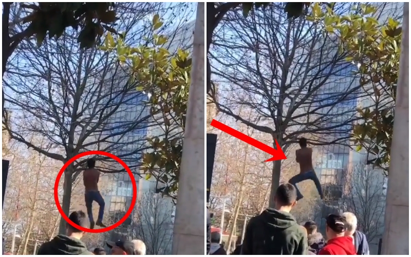 Çfarë nuk u pa nga protesta?/ Nuk përmbahen protestuesit! Djali pa bluzë kacavirret mbi pemë si “Tarzan”