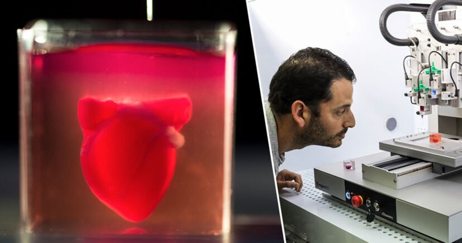 Shkencëtarët krijojnë zemrën e parë në botë të printuar 3D