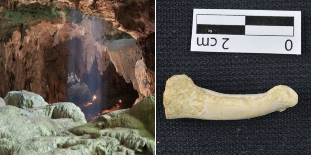 Historike/Shkencëtarët zbulojnë një tjetër specie të lashtë njerëzore në Filipine