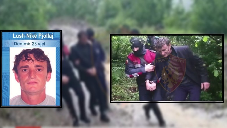 “E vrava me armën e babait”, kjo është dëshmia tronditëse e Lena Pjollës në sallën e gjyqit