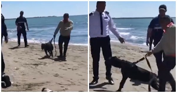 Nis përplasja mes policisë dhe pronarëve në Shëngjin/ Burri u lëshon qenin dhe u thotë: Mos ma prekni motrën, do rrezikojë edhe jetën