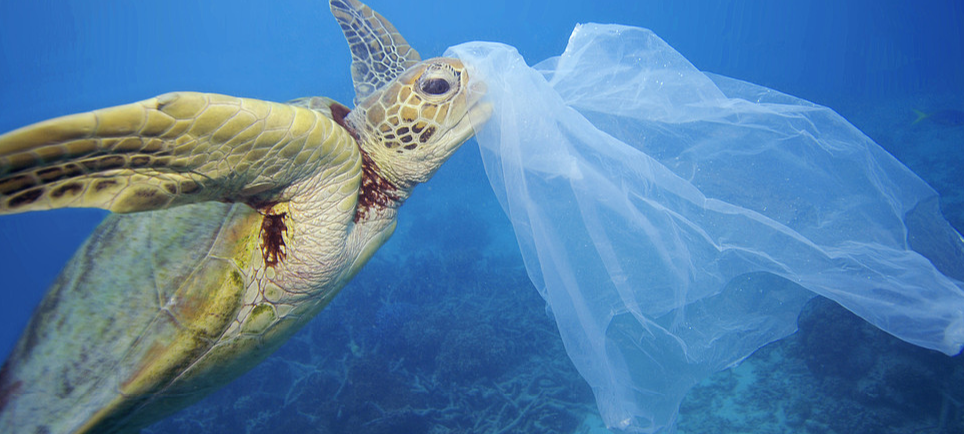 Arrihet marrëveshja për t’i konsideruar mbetjet plastike të rrezikshme