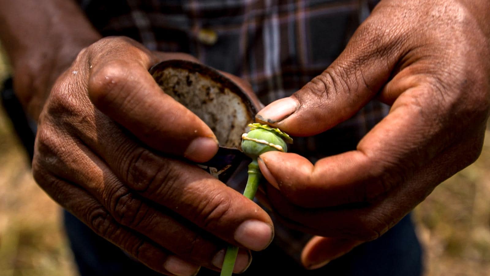 Pritet të trondisë themelet e qeverisë Rama, ja kur do të shfaqet dokumentari “Narcotica” në kanalin Italian