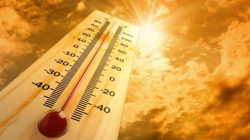 Korriku i 2019 muaji më i nxehtë në historinë e njerëzimit, pasojat do jenë drastike