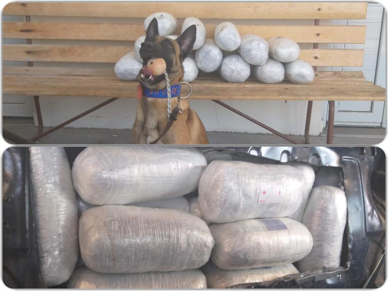 Qeni i grekëve zbulon 15 kg “mall” në sendiljen e makinës së shqiptarit