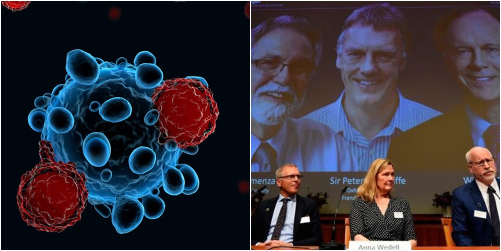Kërkimet e tyre ndihmojnë në betejën kundër kancerit, këta janë fituesit e Nobelit për Mjekësinë