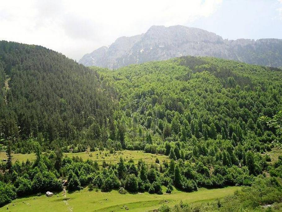 Qeveria “shenjestron” bukurinë shqiptare të radhës, HEC në Parkun Kombëtar Zall Gjoçaj