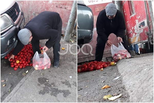 Pamje të trishta nga Korça, i moshuari ‘kërruset’ për domatet e hedhura poshtë makinës