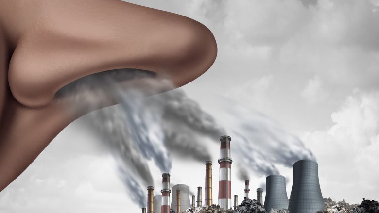 Ndotja e ajrit e zvogëlon shumë inteligjencën, të dhënat janë shqetësuese