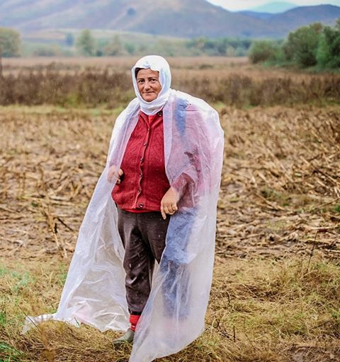 Pamje që të ther në shpirt/ Ja sa para duhet t’i paguajë qeverisë kjo shqiptare se kullot delet mes shiut