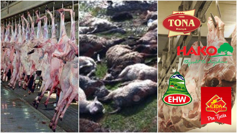 Denoncimi rrëqethës i punonjësit të mishit: ERDA, EHW, TONA, HAKO, ELIDOR lopët e ngordhura i bëjnë sallam!