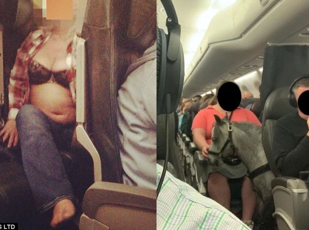 Foto +18/ Seks, masturbim dhe nudizëm, çudirat nuk kanë fund në avion