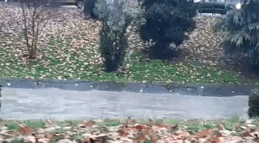 Reshjet e shiut “pushtojnë” Tiranën, Lana gati të dalë nga shtrati