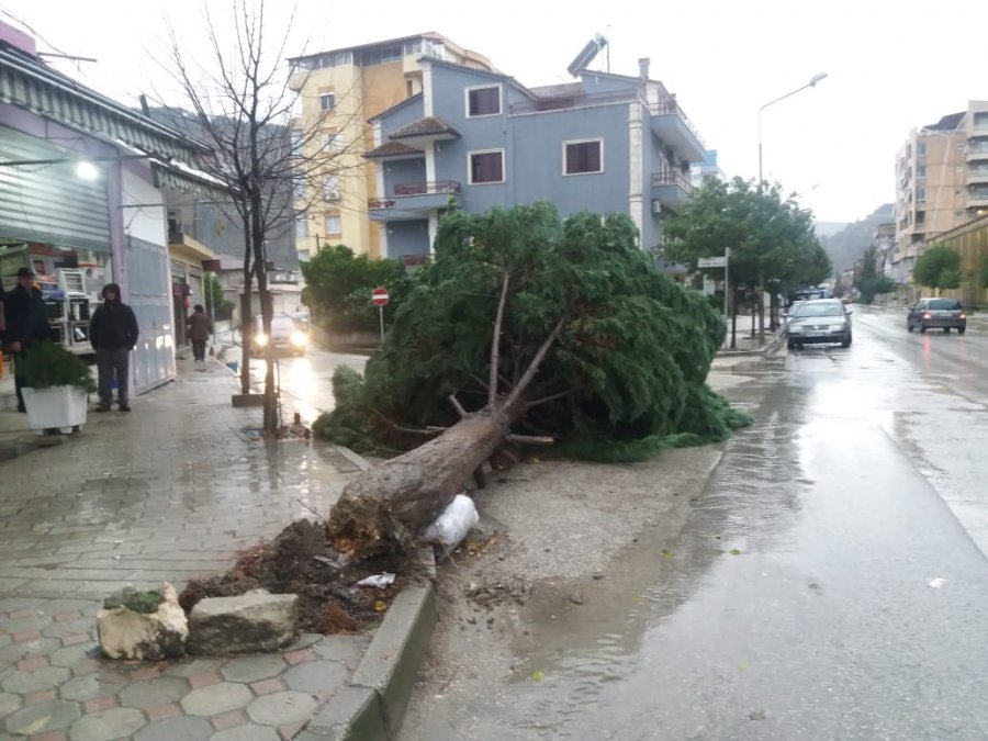 Stuhia “mbërthen” keq Beratin, pemë të rrëzuara dhe rrugë të përmbytura