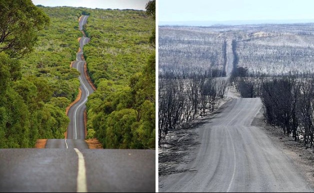 Pamje të trishta, para dhe pas zjarrit shkatërrues në Australi