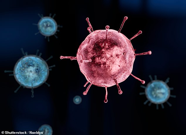 Pas koronavirus, një virus i ri misterioz zbulohet nga shkencëtarët