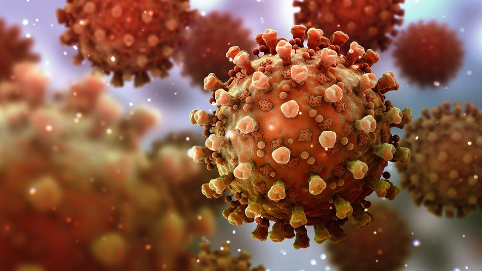 “Ka një kurë”/ Kompania bioteknologjike pretendon se ka zbuluar antitrupin që bllokon koronavirusin