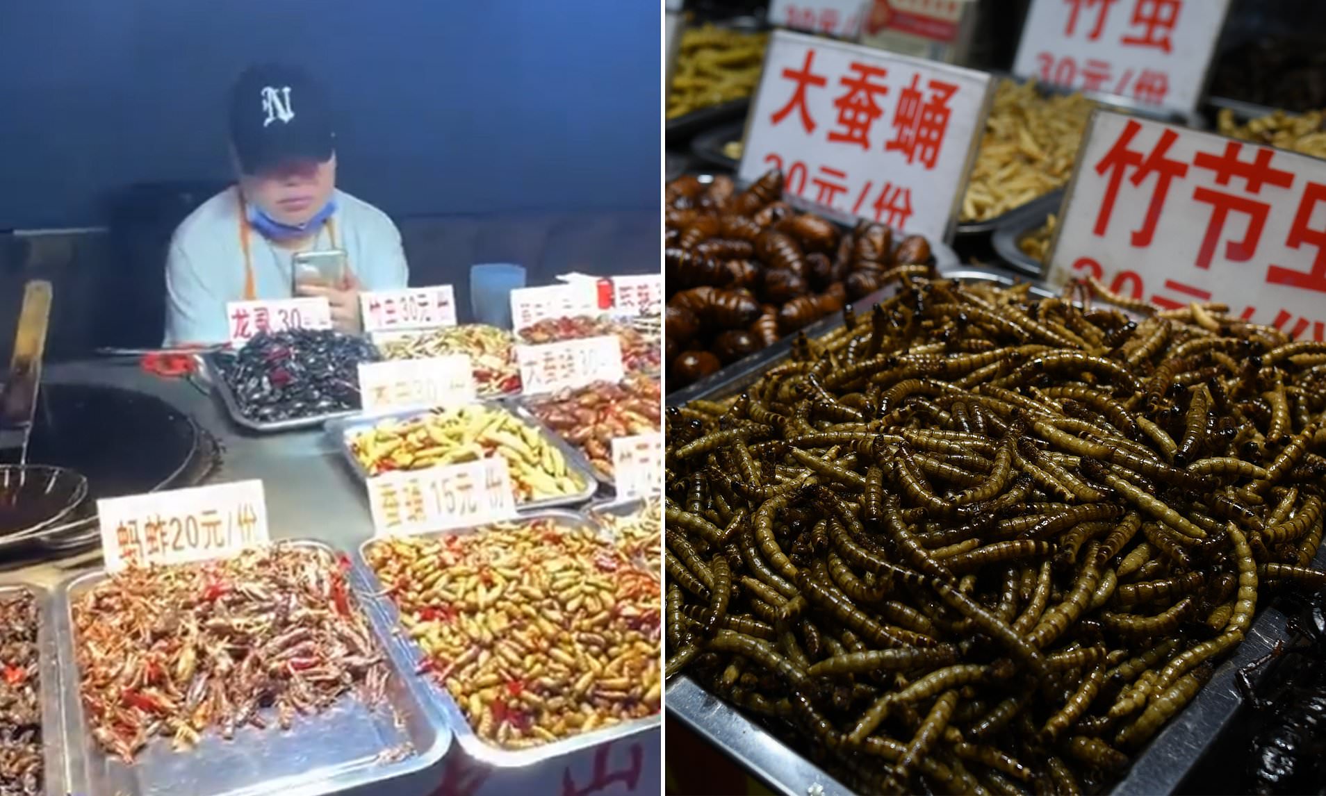 Можно ехать в китай. Китайский рынок. Китайский рынок насекомых. Китайская еда. Необычная еда в Китае.