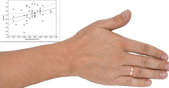 Studimi: Meshkujt me gishtin më të gjatë të unazës, janë më pak të rrezikuar nga Covid-19