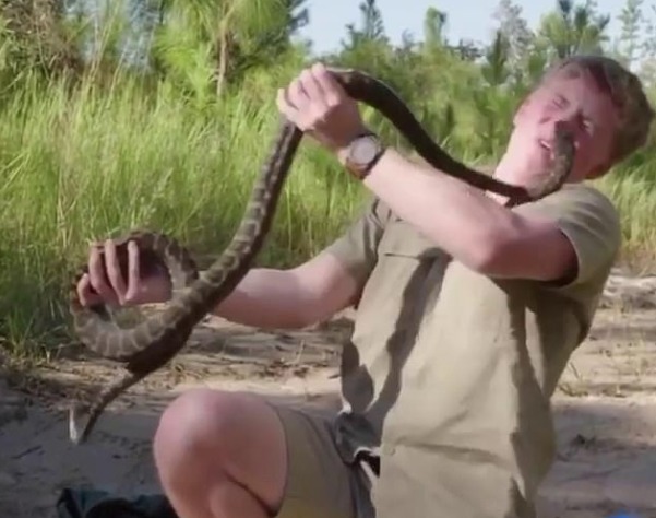 Shokon i riu! Filmon momentin kur e kafshon gjarpri